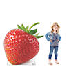 Strawberry Cardboard Stand-Up Image 1