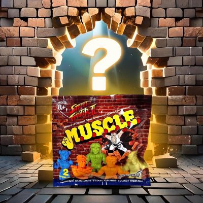 Street Fighter II M.U.S.C.L.E. Mini-Figure Wave 1  Random 2-Pack Image 1