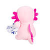 Stuffed Axolotl Valentine Exchanges with Card for 12 Image 1