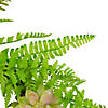 Succulents and Foliage Artificial Spring Twig Wreath 22" Image 3