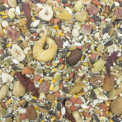 Sunburst Gourmet Bird Food Blend for Macaws, Food and Treat in One, 25lbs Image 1