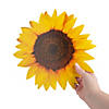 Sunflower Cutout Decorations - 6 Pc. Image 1
