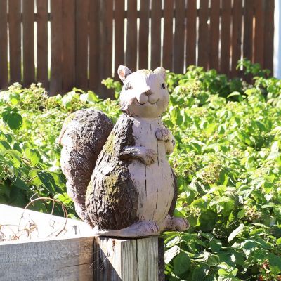 Sunnydaze Silas the Woodland Squirrel Statue - Indoor/Outdoor Decorative Figurine - 13.5" Image 1