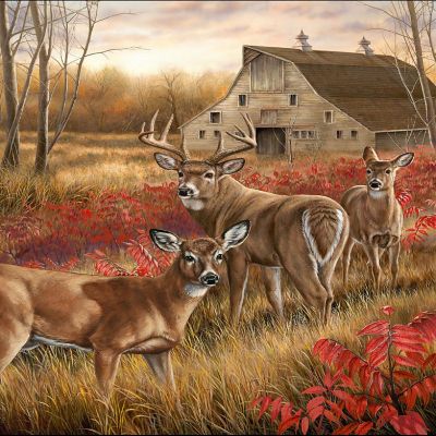 Sunsout Among the Shadows 1000 pc  Jigsaw Puzzle Image 1