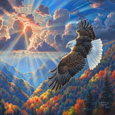 Sunsout Beautiful Freedom 1000 pc  Jigsaw Puzzle Image 1
