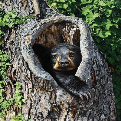 Sunsout Cubby Hole 500 pc  Jigsaw Puzzle Image 1