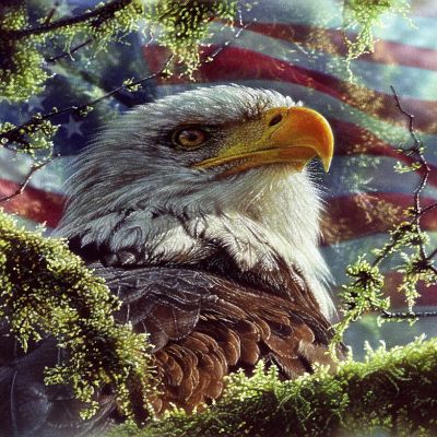 Sunsout Eagle Colors 1000 pc  Jigsaw Puzzle Image 1