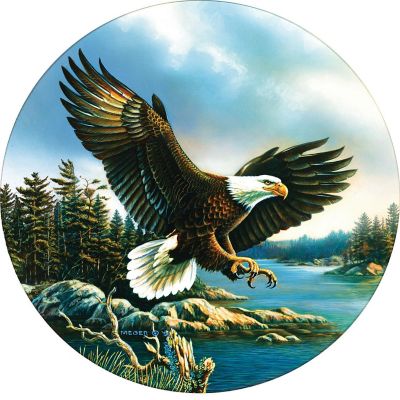 Sunsout Eagle Landing 500 pc  Jigsaw Puzzle Image 1