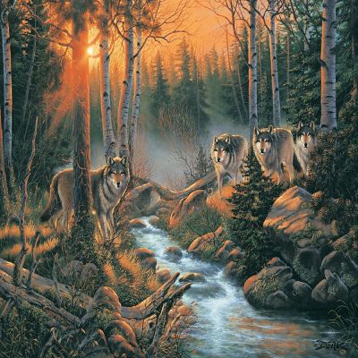 Sunsout Forest Shadows 1000 pc  Jigsaw Puzzle Image 1