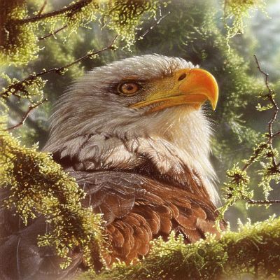 Sunsout High and Mighty 1000 pc  Jigsaw Puzzle Image 1