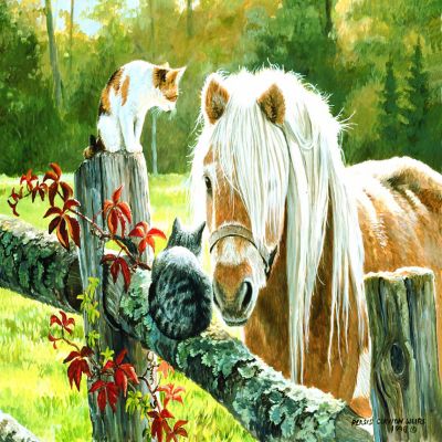 Sunsout Just Visiting 300 pc  Jigsaw Puzzle Image 1