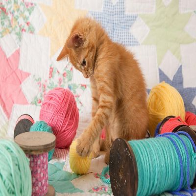 Sunsout Kitty Plays Ball 300 pc  Jigsaw Puzzle Image 1
