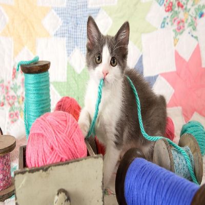 Sunsout Knitter's Helper 300 pc  Jigsaw Puzzle Image 1