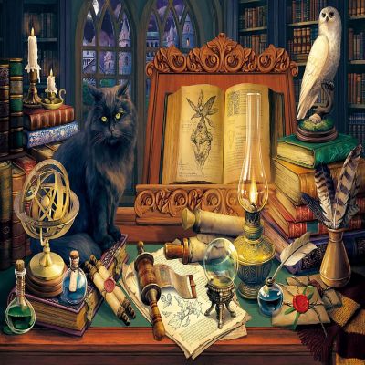 Sunsout Magic Library 500 pc  Jigsaw Puzzle Image 1