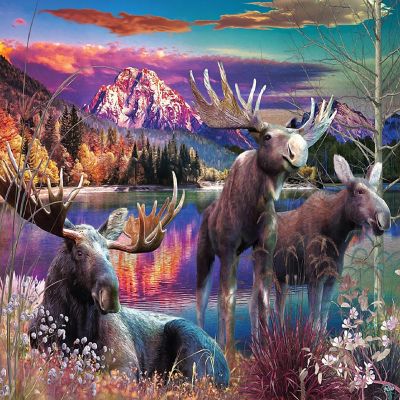 Sunsout Sunset Pond 1000 pc  Jigsaw Puzzle Image 1