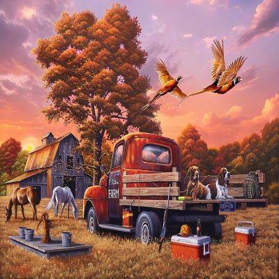 Sunsout What's the Point 1000 pc  Jigsaw Puzzle Image 1