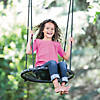 Super Spin Disc Swing Image 2