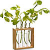 Supertek Square Plant Holder Image 1