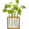 Supertek Square Plant Holder Image 2