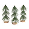 Tabletop Evergreen Trees Image 1