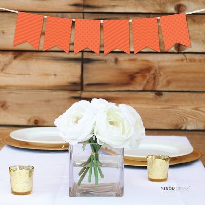 Tangerine Orange Bunting 9ft Image 1