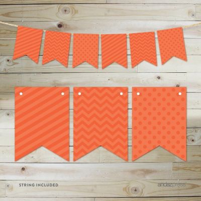 Tangerine Orange Bunting 9ft Image 2