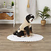 Taupe Embroidered Paw Small Pet Robe Image 3