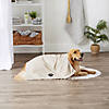 Taupe Stripe Embroidered Paw Pet Towel Image 3