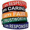 Teacher Created Resources Character Traits Wristband Pack, 10 Per Pack, 6 Packs Image 1