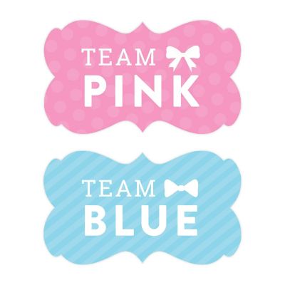 Team Pink Team Blue Labels 36-Pack Image 1