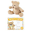Teddy Bear Adoption Kit for 12 Image 1