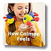 The Calm Caterpillar Calmee the Caterpillar & How Calmee Feels Book Image 2