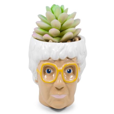 The Golden Girls Sophia Face Mini Ceramic Planter With Faux Succulent  3 Inches Image 1