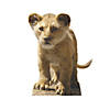 The Lion King&#8482; Young Simba Life-Size Cardboard Stand-Up Image 1