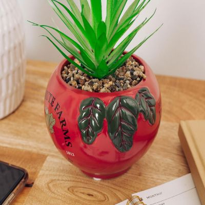 The Office Schrute Farms Rustic 8-Inch Planter With Artificial Succulent Image 3