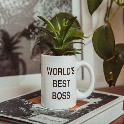 The Office "World's Best Boss" 3-Inch Ceramic Mini Planter With Artificial Succulent Image 3