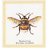 Thea Gouverneur Cross Stitch Kit 16ct Bumble Bee Image 4