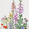 Thea Gouverneur Cross Stitch Kit 16ct Wild Flowers Image 3
