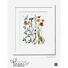Thea Gouverneur Cross Stitch Kit 16ct Wildflowers Image 1