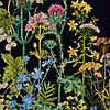 Thea Gouverneur Cross Stitch Kit 18ct Herb Panel Image 3