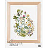 Thea Gouverneur Cross Stitch Kit 18ct Herbs Image 1