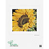 Thea Gouverneur Cross Stitch Kit 18ct Sunflower Image 1