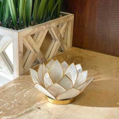 Things2Die4 White Capiz Shell Lotus Flower Small Tealight Candle Holder Set of 3 Image 3