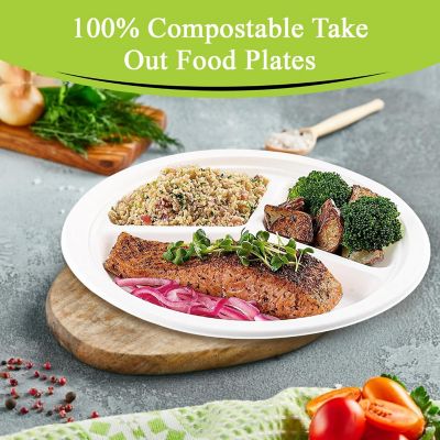 Three Leaf 10" 3 Compartment Bagasse Disposable Round Plate, 500 Ct. Image 1