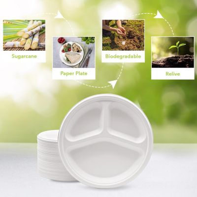 Three Leaf 10" 3 Compartment Bagasse Disposable Round Plate, 500 Ct. Image 3