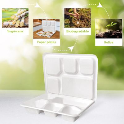 Three Leaf 5 Compartment Disposable Meal Tray With Lid Set, 200 Sets. Image 3