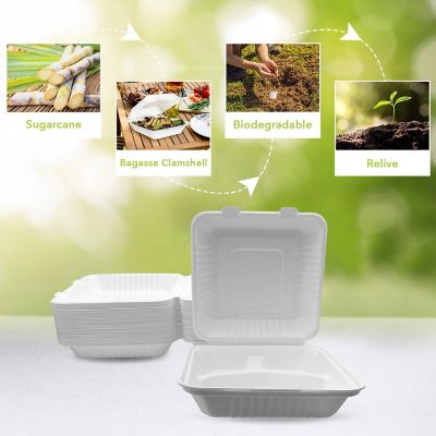 Three Leaf 8" X 8" 3 Compartment Bagasse Disposable Clamshell, 200 Ct. Image 3