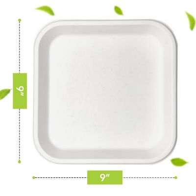 Three Leaf 9" Bagasse Disposable Square Plate, 500 Ct. Image 1