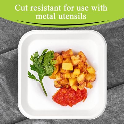 Three Leaf 9" Bagasse Disposable Square Plate, 500 Ct. Image 2
