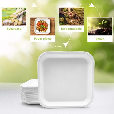 Three Leaf 9" Bagasse Disposable Square Plate, 500 Ct. Image 3